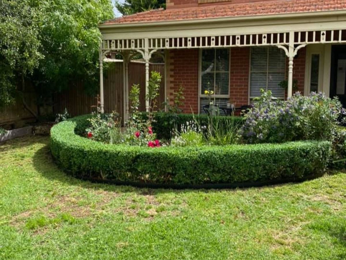 Tidy garden beds