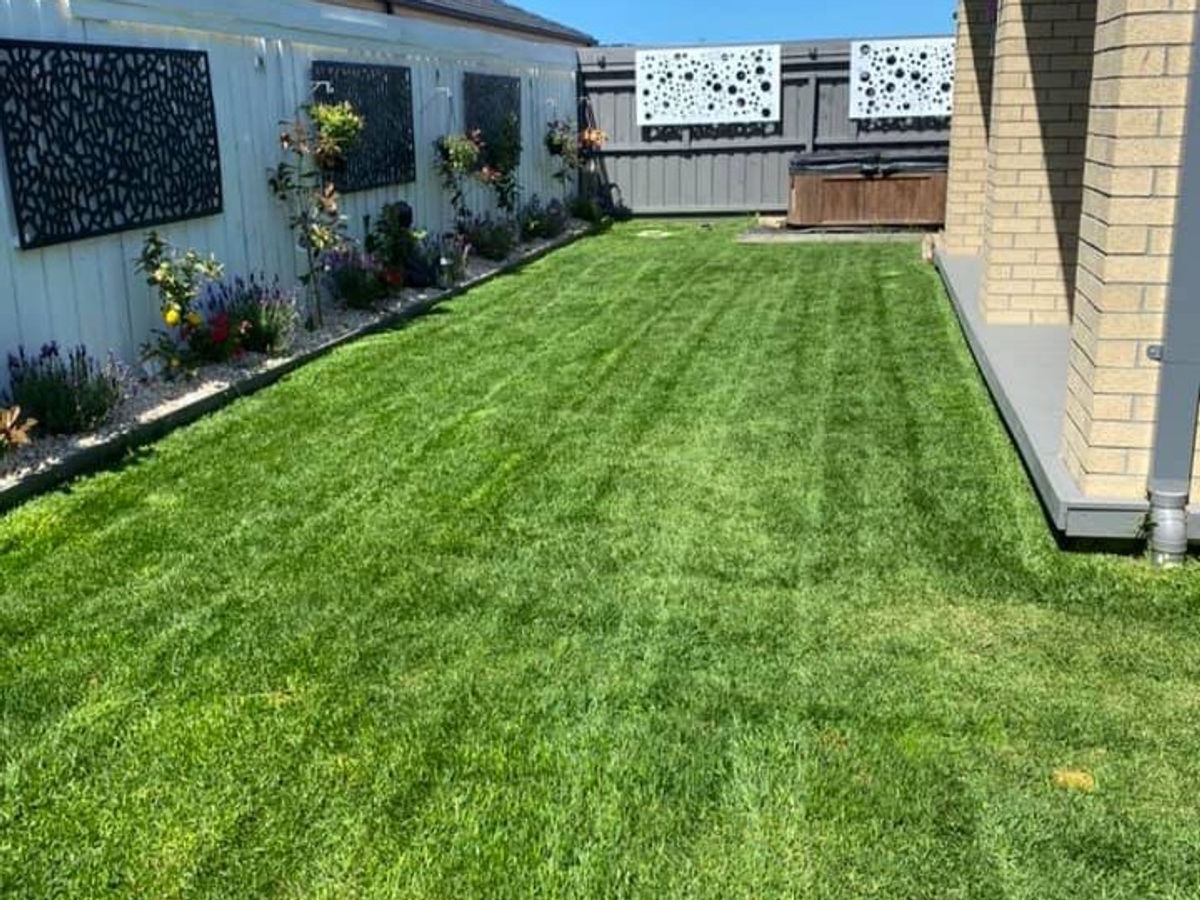 Freshly mown lawn