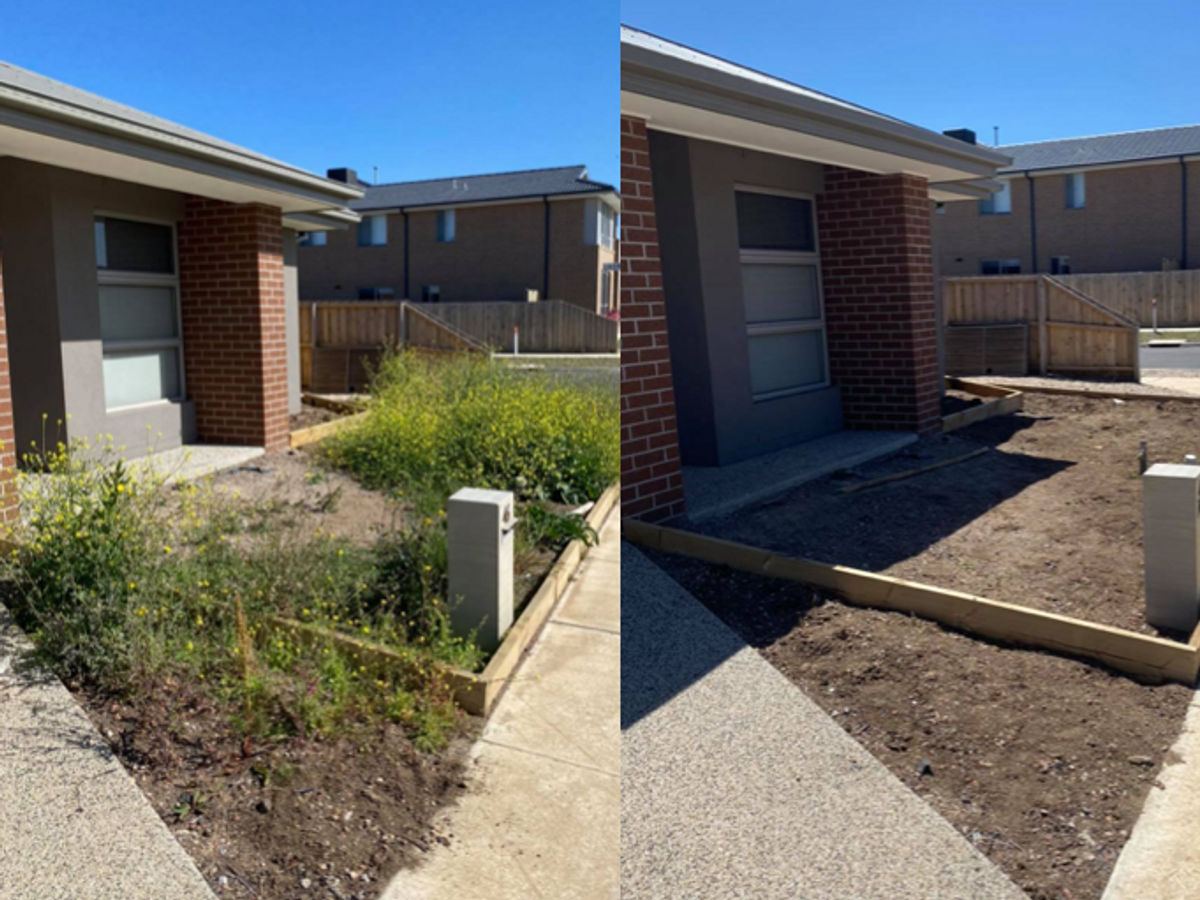 Weeded garden bed